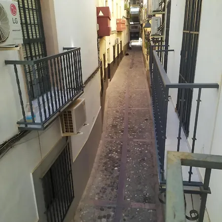 Vivienda En El Centro Historico Con Ascensor Apartamento